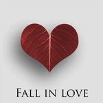 Fall in Love by Kevin Posey on TIDAL